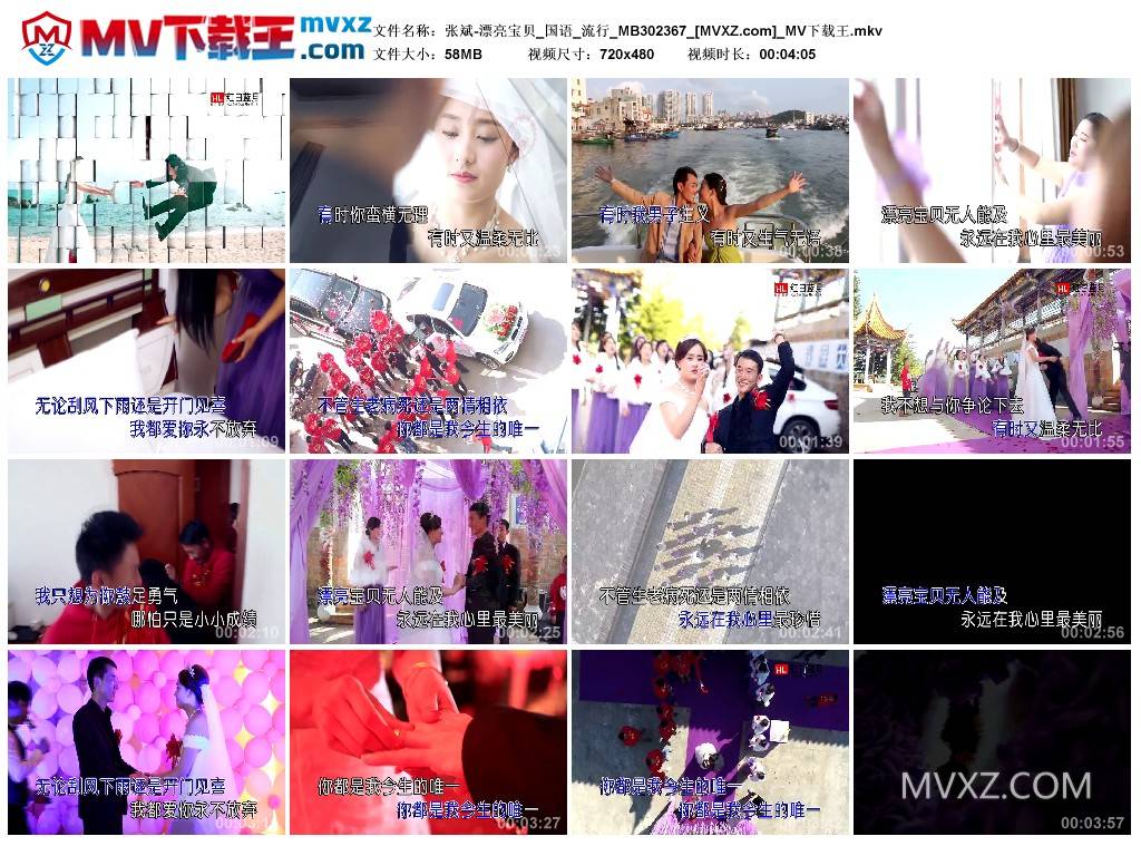 张斌-漂亮宝贝_国语_流行_MB302367